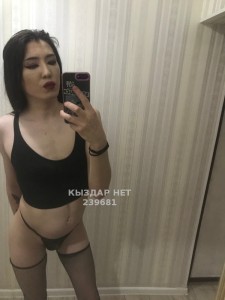 Транс Кокшетау Транс№239681 J A N E L Y A последние дни Фотография №2673073