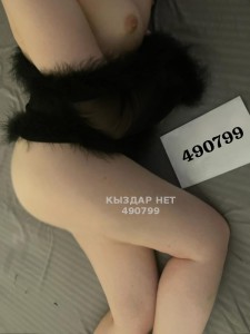 Проститутка Усть-Каменогорска Девушка№490799 Даяна на 2 дня Фотография №3712265