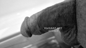 Жиголо Костаная Парень№499315 Ромуальдо Сиффреди Фотография №3756711