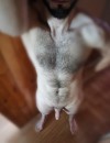 Фотография №3775025